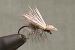 Fly Tying:Elk Hair Caddis