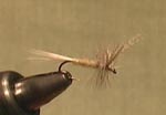 Fly Tying:Light Cahill